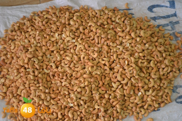 mokasaratshadyjamal (21).JPG